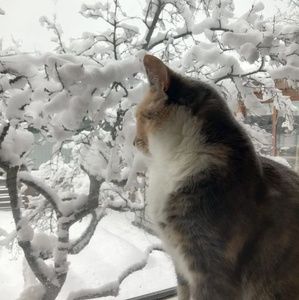 Meet your Posher, Mann